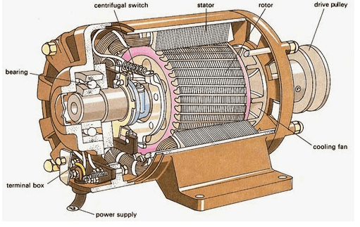 AC Asynchronous Motor.png