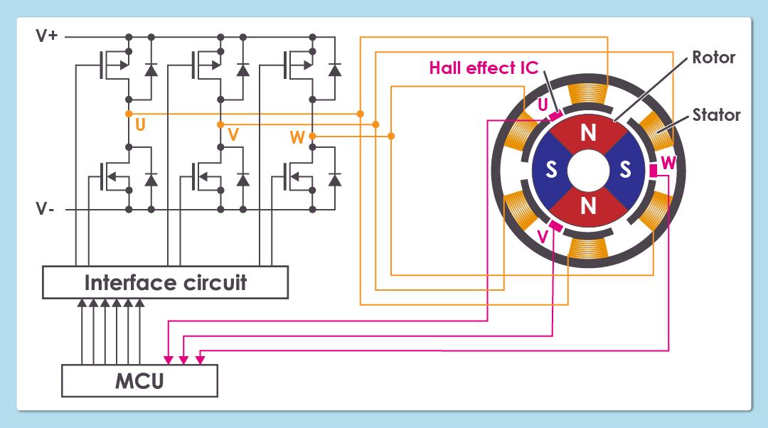 Schematic Structure of a BLDC Motor.png